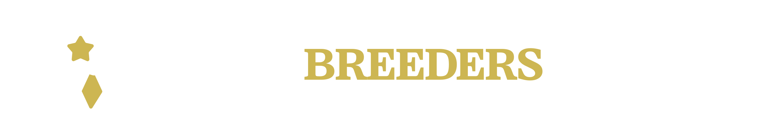 Logo do Leilão